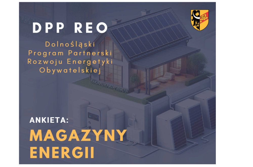 Magazyny energii ankieta long