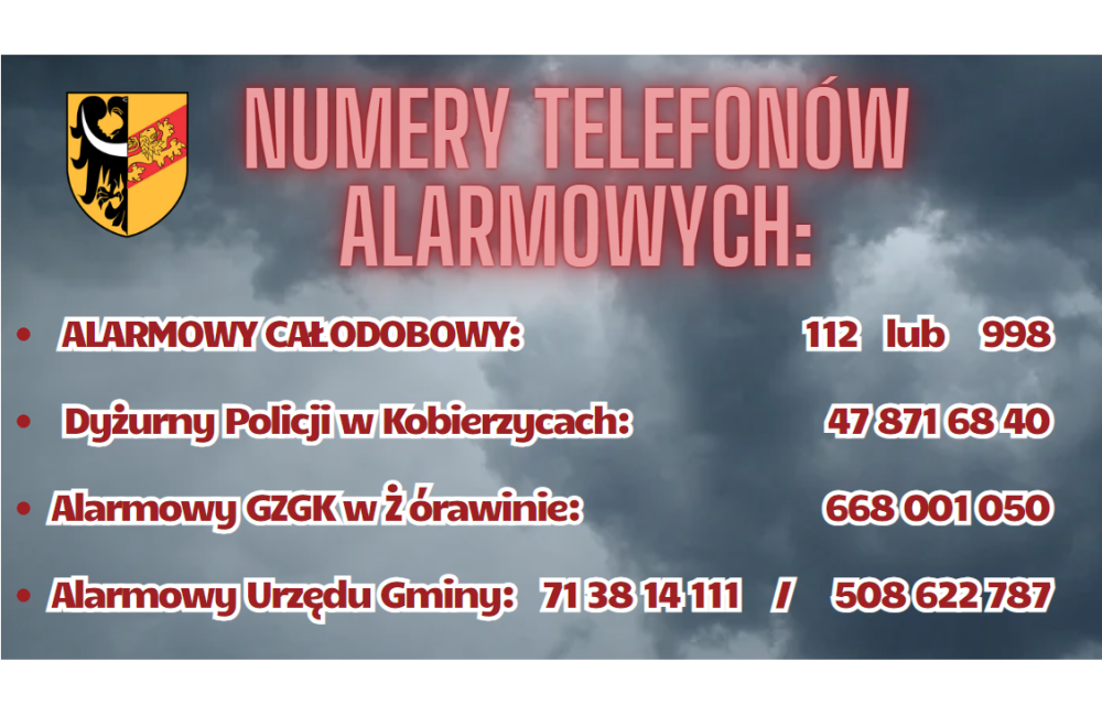 Na stronę alarmowe2