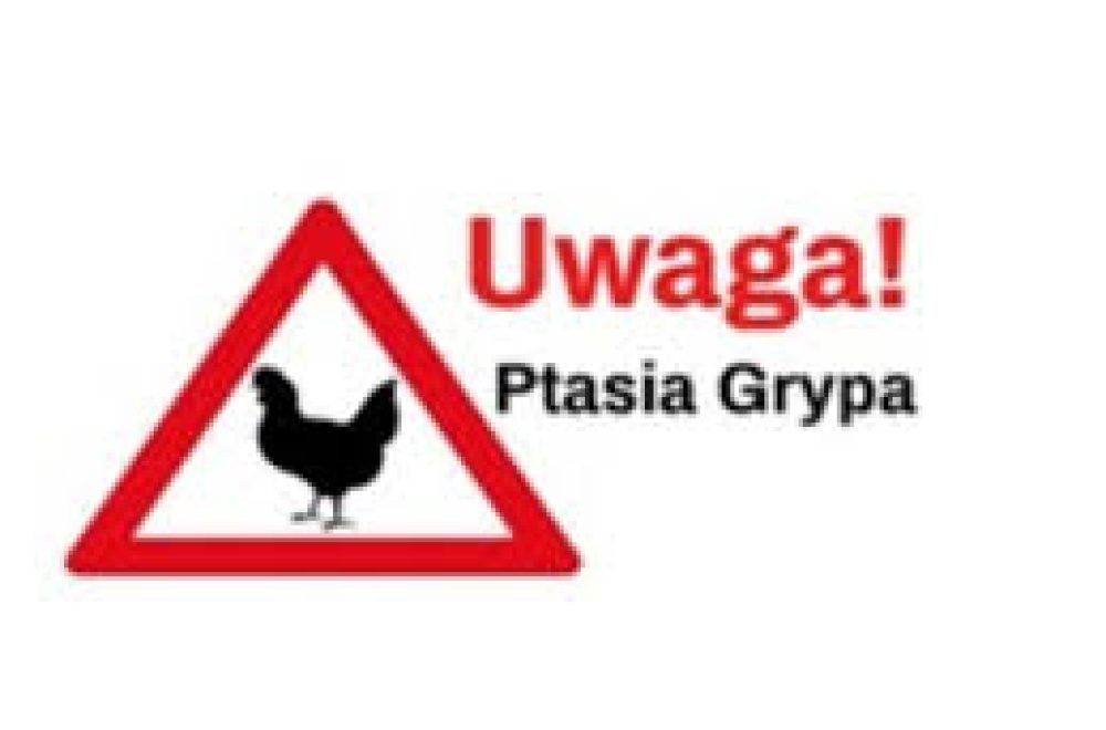 Uwaga ptasia grypa